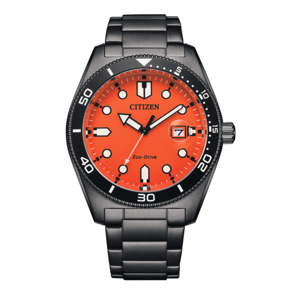 Citizen Marine 1760