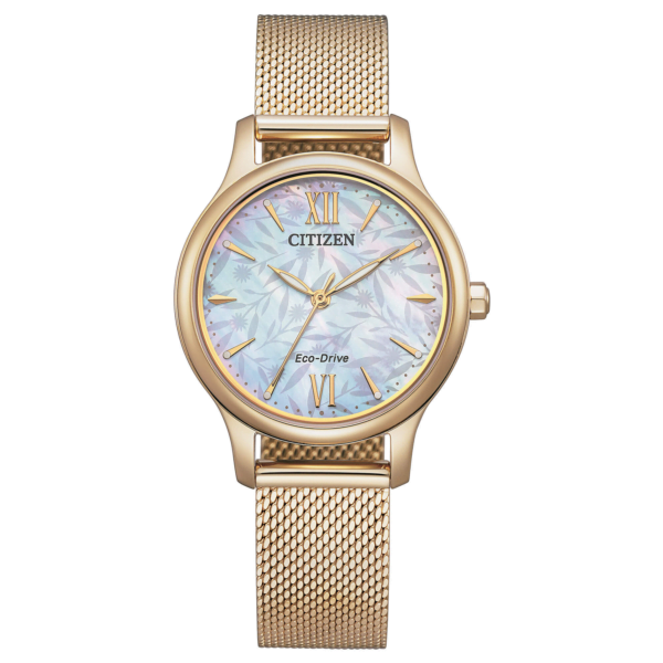 Citizen Lady