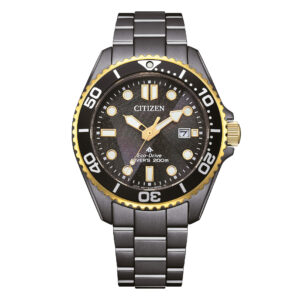 Citizen Diver's Eco-Drive 200 mt 40mm