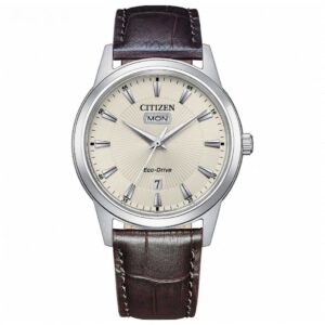 Citizen Classic AW0100-19A